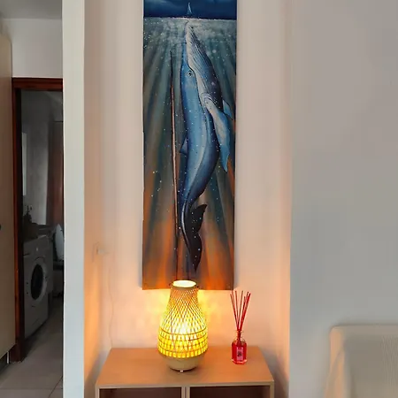 Veracruz , Playa Americas אדחה