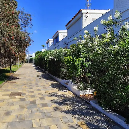 Veracruz , Playa Americas * Costa Adeje (Tenerife)